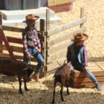 2019_Les Daltons_ (195)