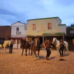 2019_Les Daltons_ (241)